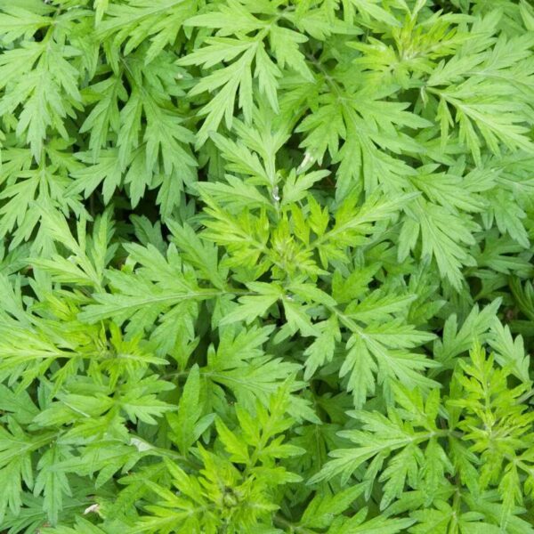 04b135cf-fc4c-4ec7-af87-97bae11e9e98