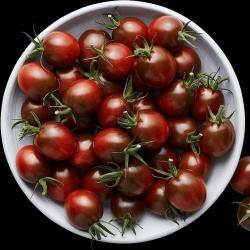 291446-kerstomaat-mini-kumato